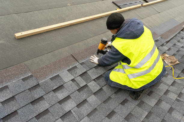 Best Roof Maintenance Services  in Mount Vernon, VA