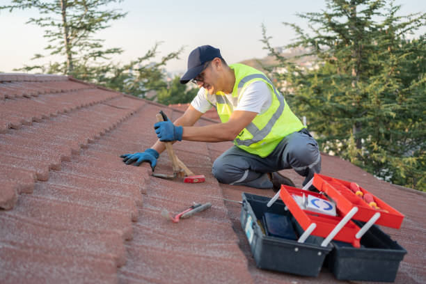 Best Roof Leak Repair  in Mount Vernon, VA