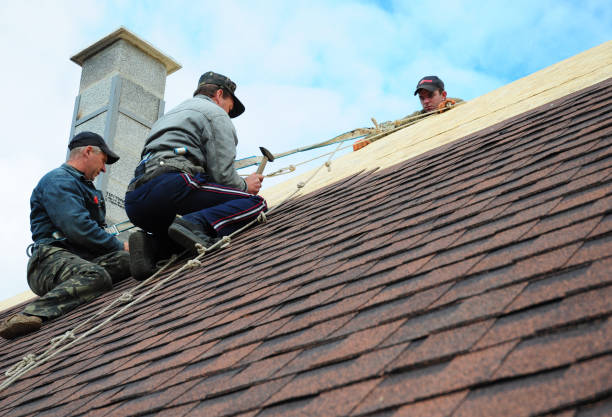 Best Gutter Installation and Roofing  in Mount Vernon, VA