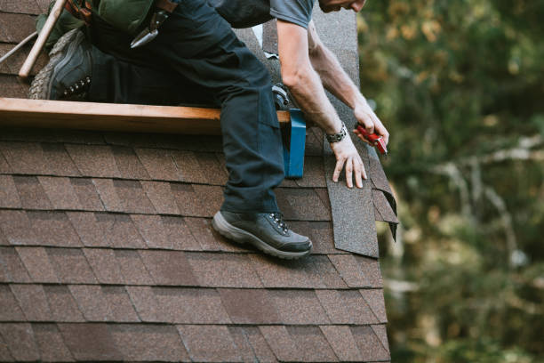 Best Roof Leak Repair  in Mount Vernon, VA